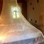 Paali