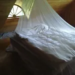 Paali Lodge