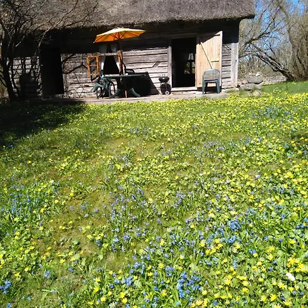 Lodge Paali