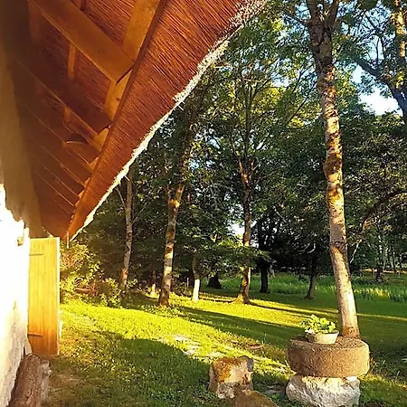 Paali