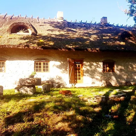 Paali Lodge *