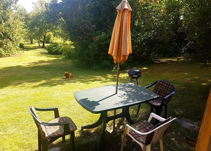 Alojamento de Turismo Selvagem Paali Tornimae