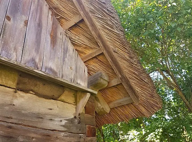 Alojamento de Turismo Selvagem Paali *