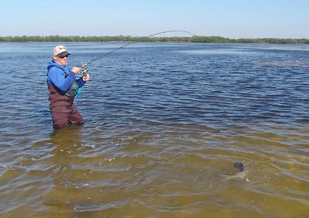 Alojamento de Turismo Selvagem Paali *