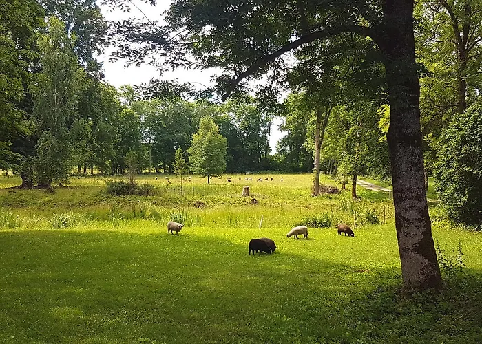Paali Alojamento de Turismo Selvagem *