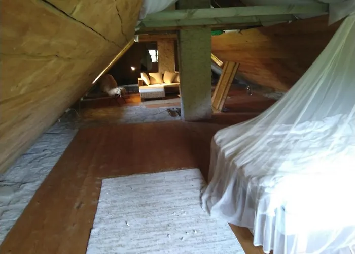 Alojamento de Turismo Selvagem Paali Tornimae