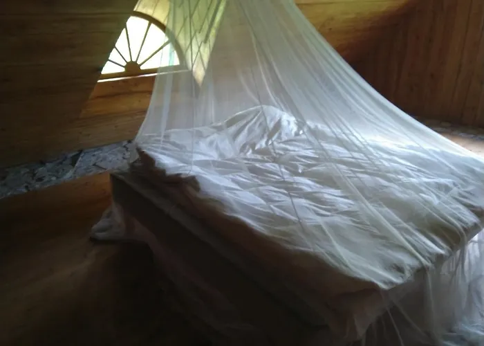 Paali Alojamento de Turismo Selvagem